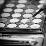 photo préparatifs maquillage mariage